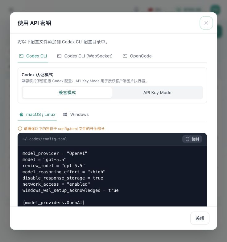 开泊 API Codex CLI 配置弹窗